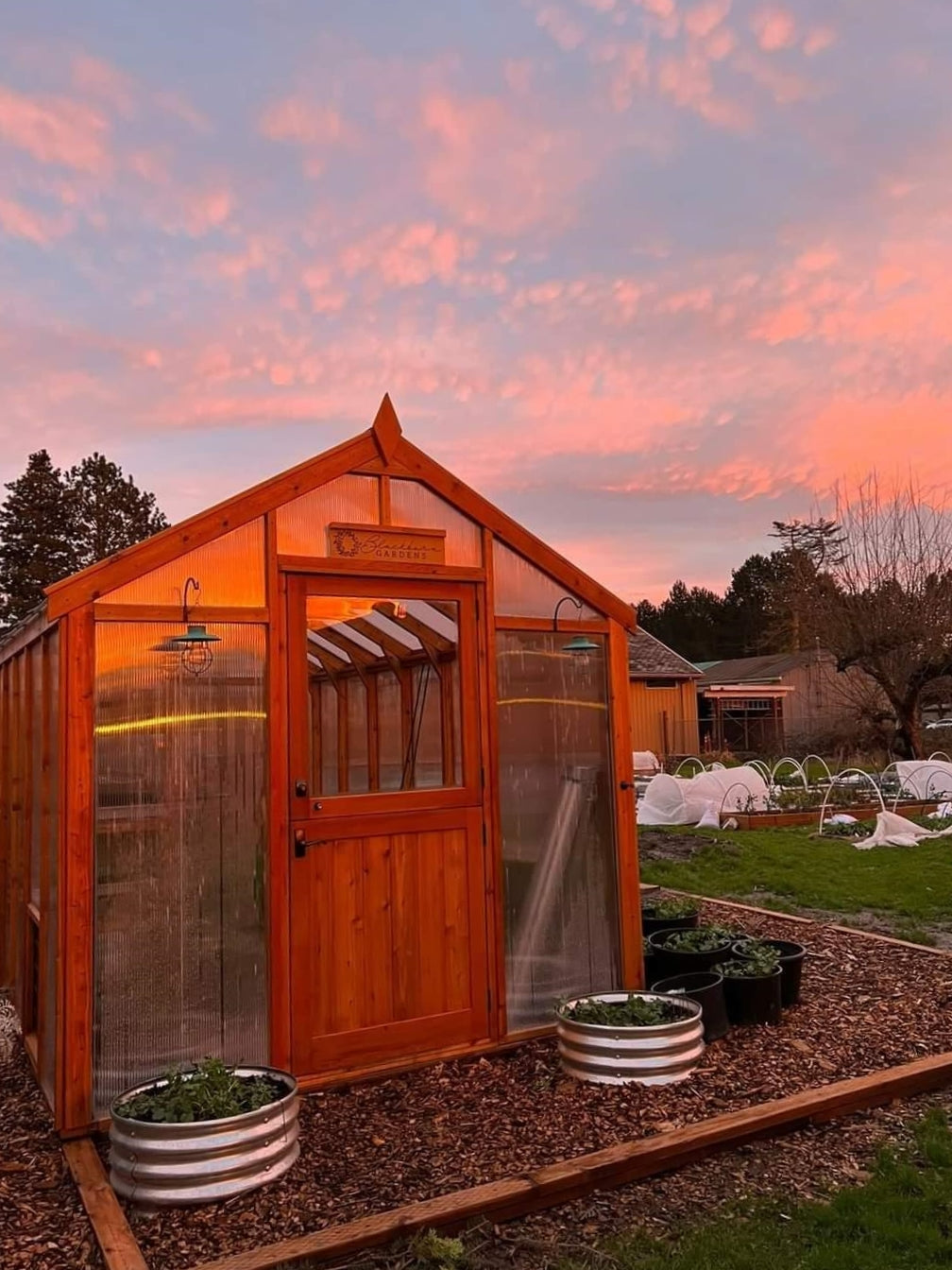 February in Your Greenhouse