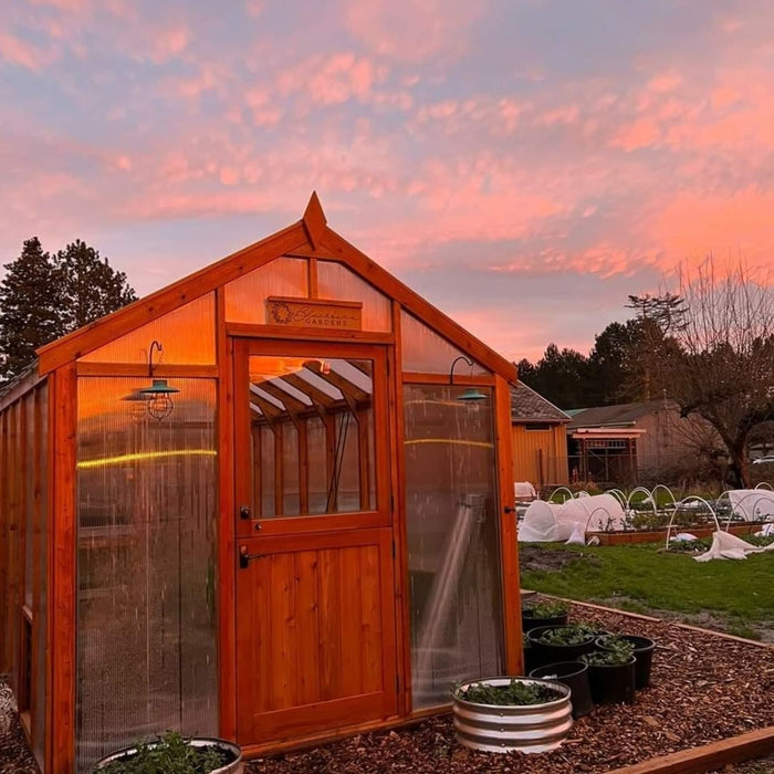 February in Your Greenhouse