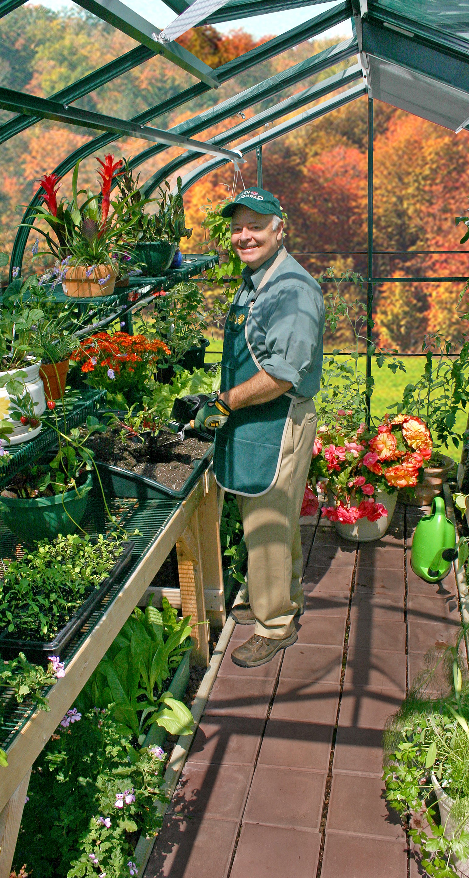 August in Your Greenhouse