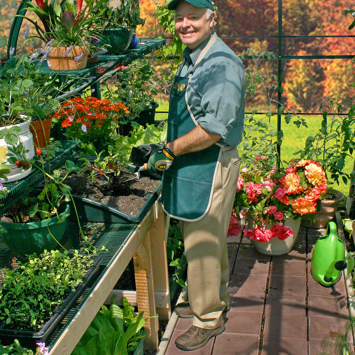 August in Your Greenhouse