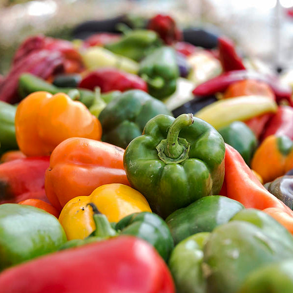 Growing In Your Greenhouse: Peppers