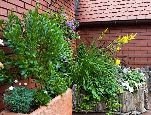 Deluxe Container Watering Kit: Image of the kit in use outdoors.