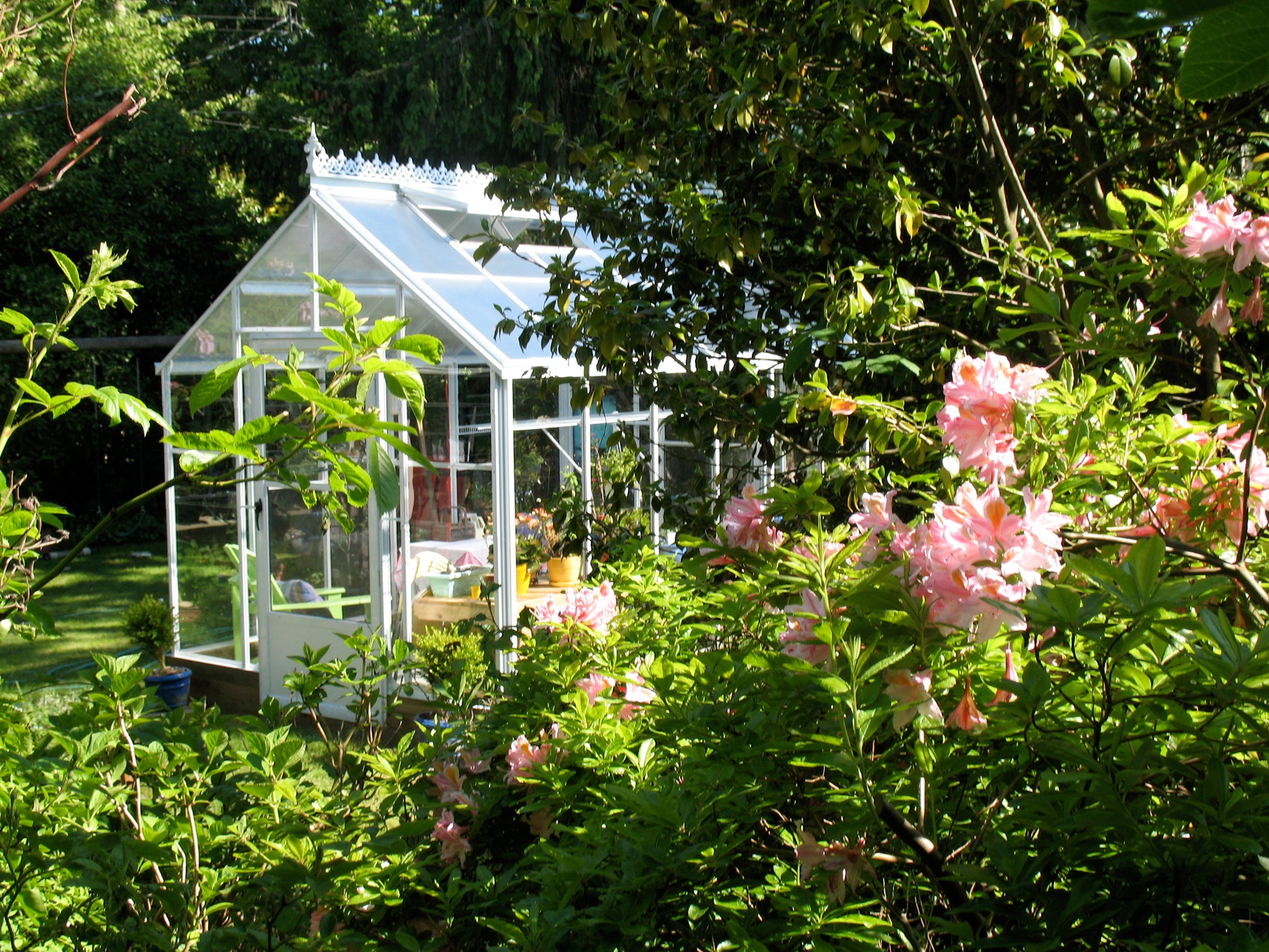 beautiful greenhouse