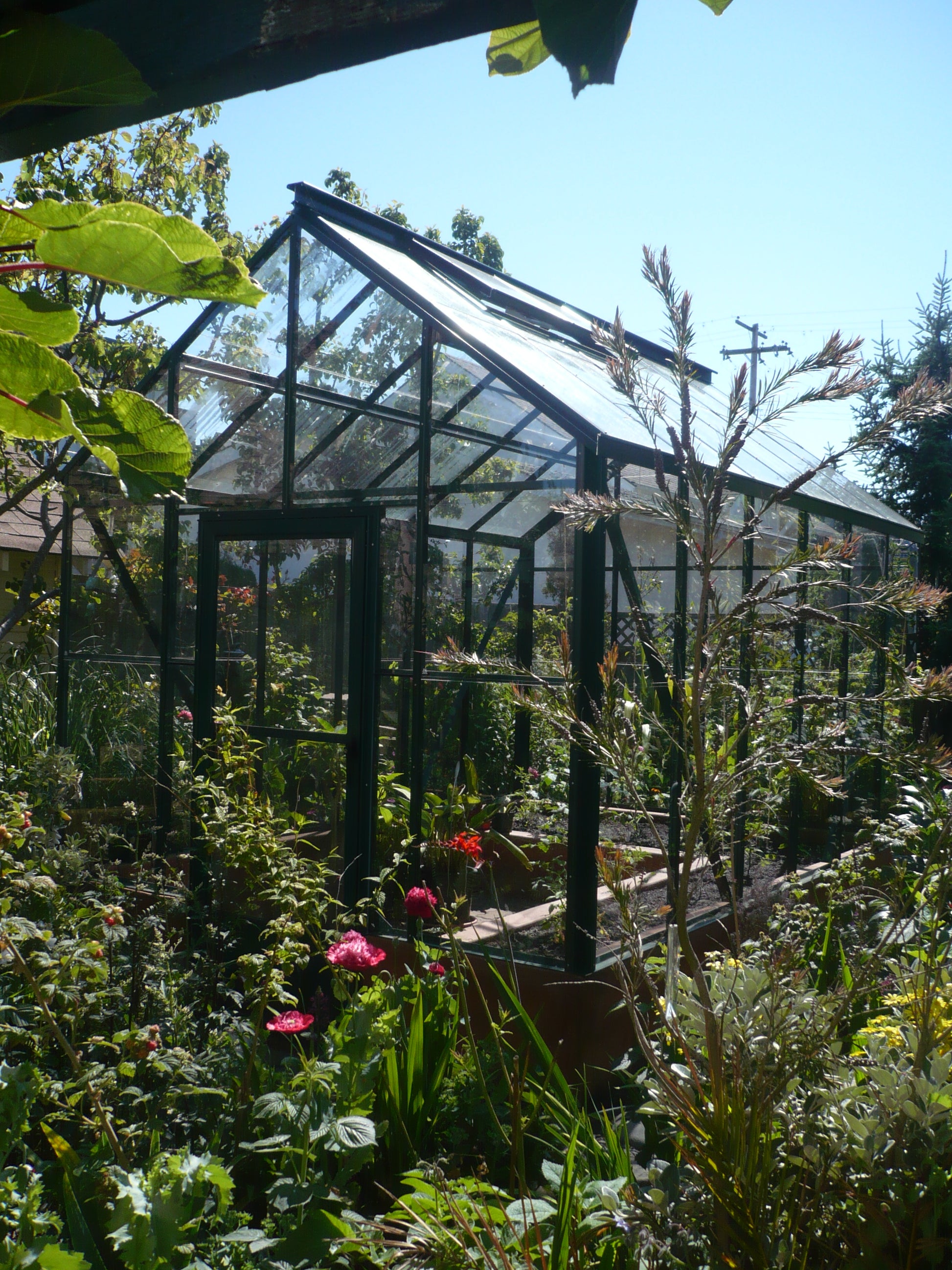 strong greenhouse