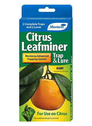 Monterey Citrus Leafminer Trap & Lure