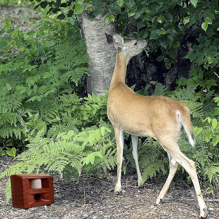 Deer Gard Electronic Deer Repeller