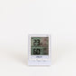 Jumbo Hygro Maximum Minimum Thermometer