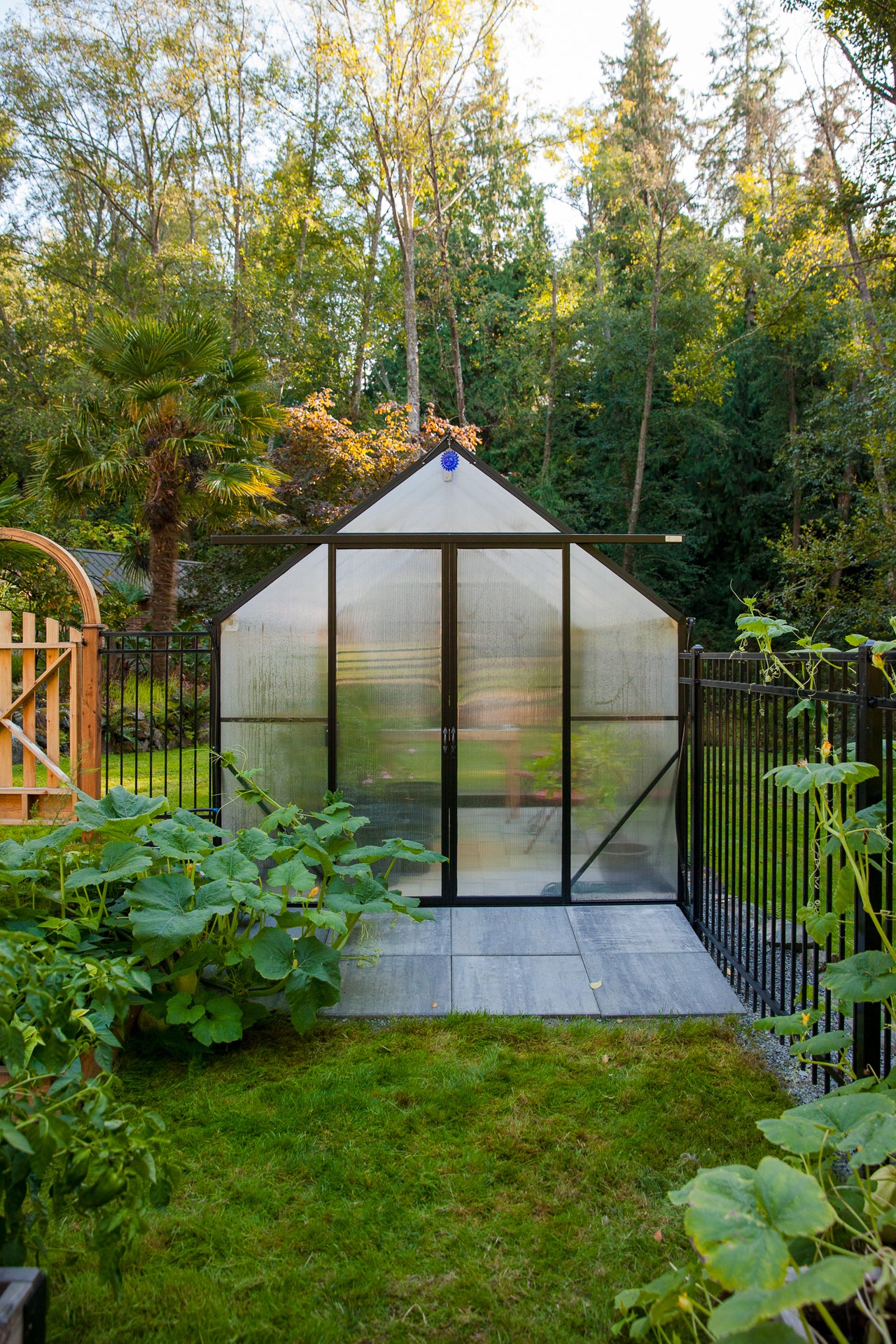 plastic greenhouse