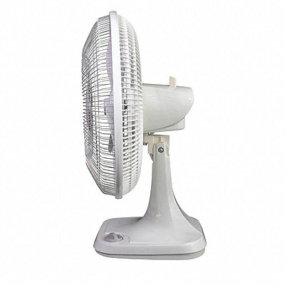 Bench Top Oscillating Fan, 12"