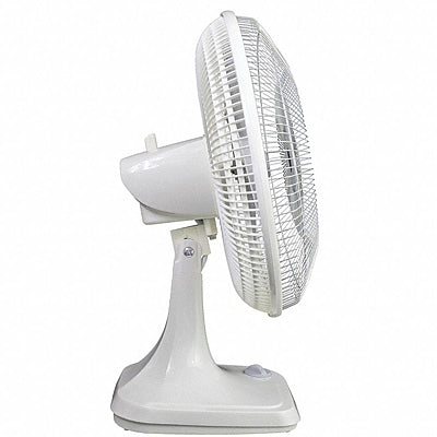 Bench Top Oscillating Fan, 12"