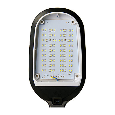 LED Floor Plant Light