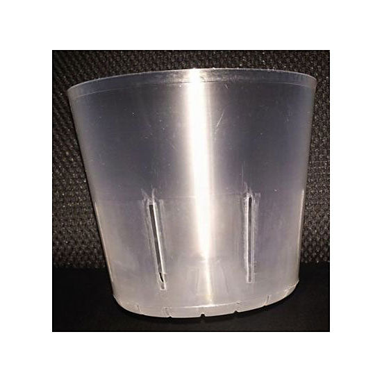 Translucent Orchid Pot with Side Slots