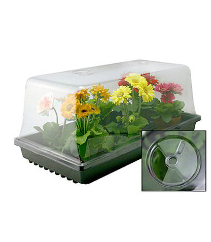 Mondi 7" Mini Greenhouse with Easy Vents