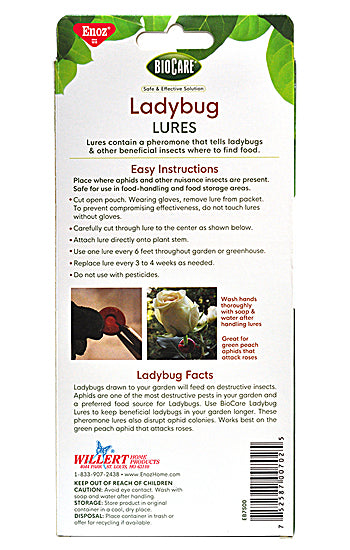 Ladybug Lures, 4 pak