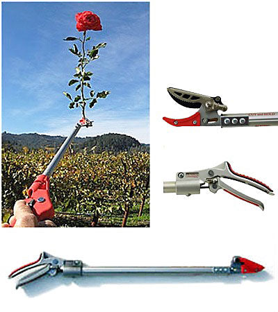 Cut & Hold Pruners, Short Reach