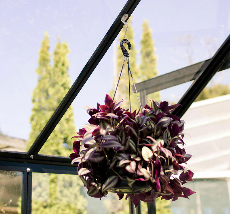 Winter Gardenz Hanging Brackets image with a plant hanging in a greenhouse